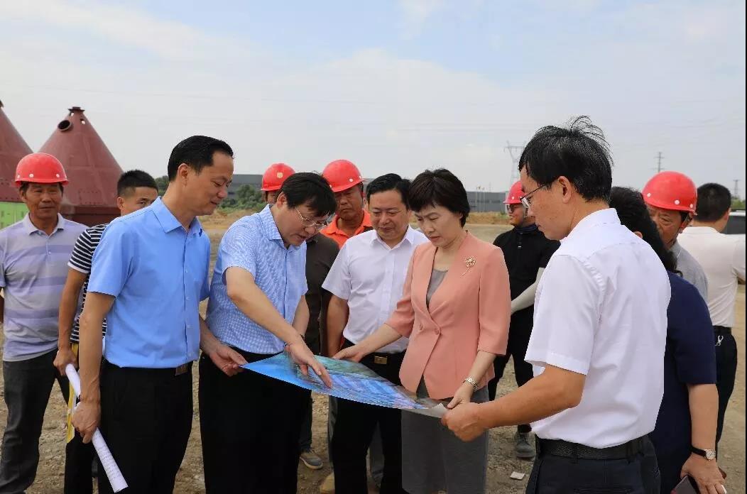 李愛武市長調研富強科技建設項目